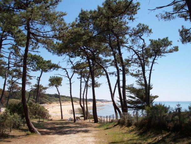 Villa L'Acacias Longeville-sur-Mer Dış mekan fotoğraf